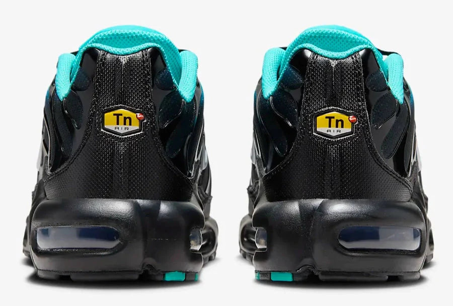 Nike TN Air Max Plus (Aqua Black Gradient)